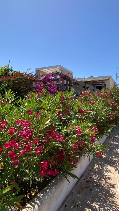 Damia 2 Apartamento