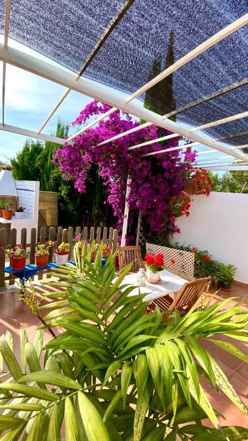 Damia 2 Apartamento